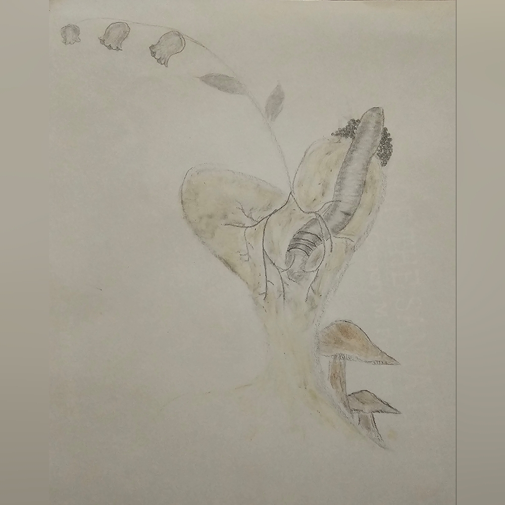 Abstract Nature Sketch Art